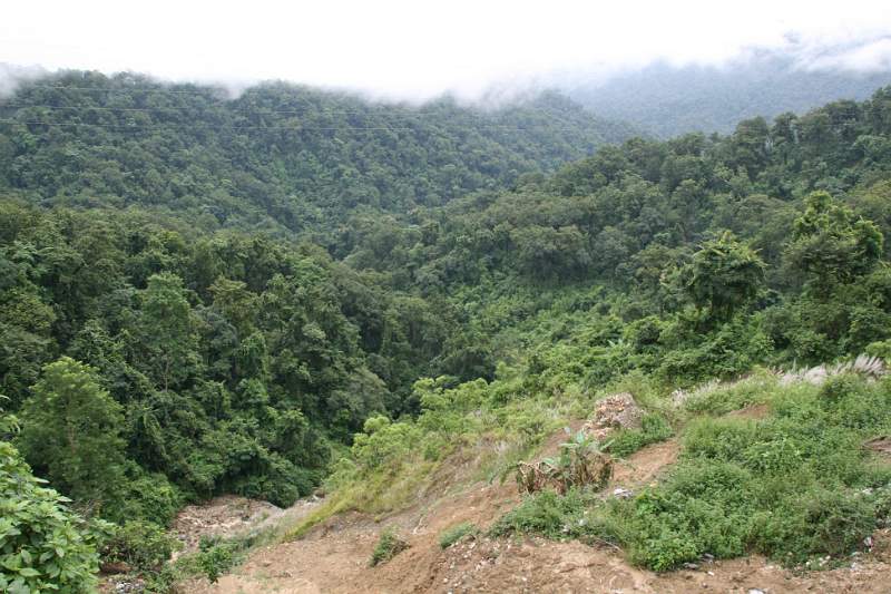 India & Nepal 2011 - 0617